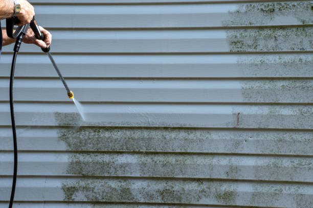 Best Construction Debris Removal  in Springville, NY