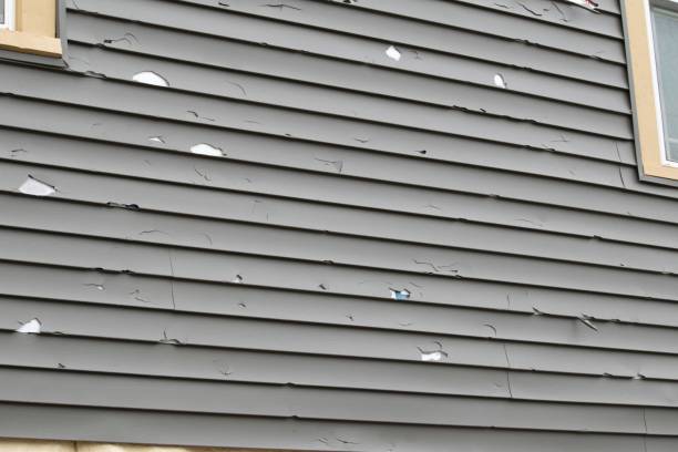 Best Yard Waste Removal  in Springville, NY